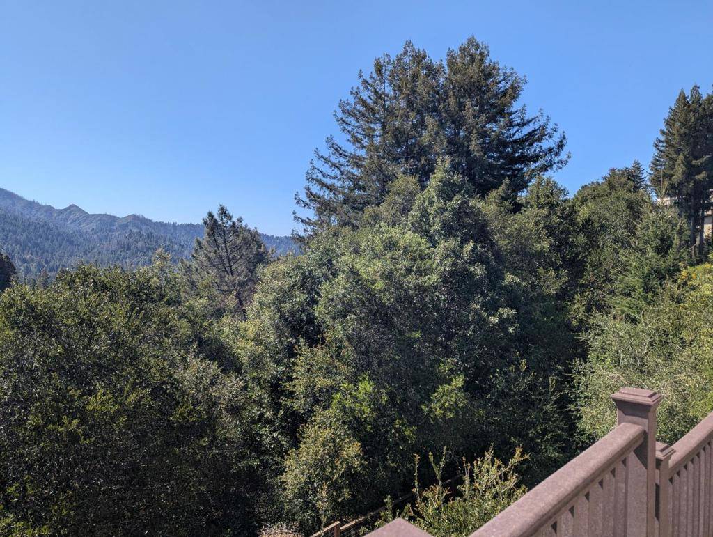 Boulder Creek, CA 95006,267 Crows Nest DR