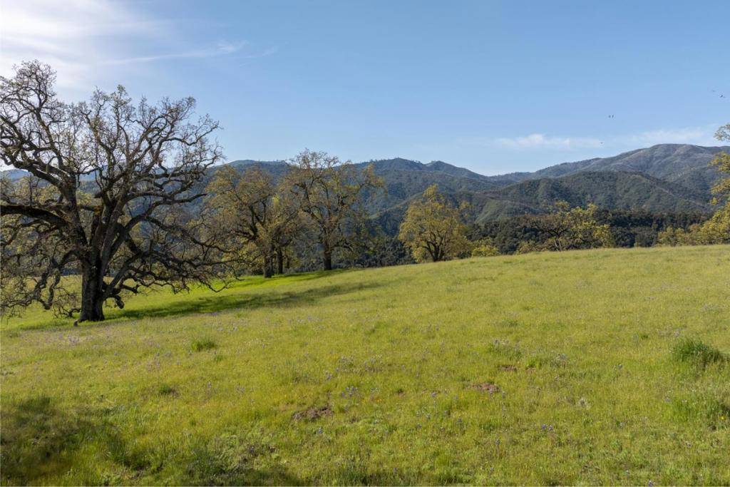 Carmel, CA 93923,16 Long Ridge (Lot 233) TRL