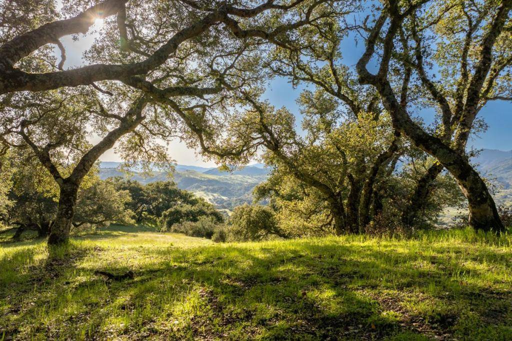 Carmel, CA 93923,52 Chamisal Pass (Lot 136)