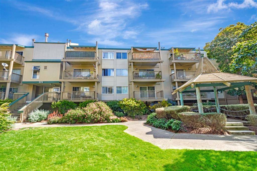 Daly City, CA 94015,373 Half Moon LN #307