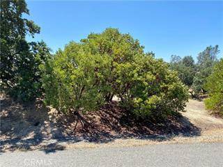 Corning, CA 96021,17323 Wagon Wheel DR