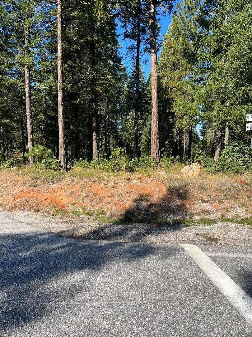 Nevada City, CA 95959,14344 Banner Quaker Hill RD