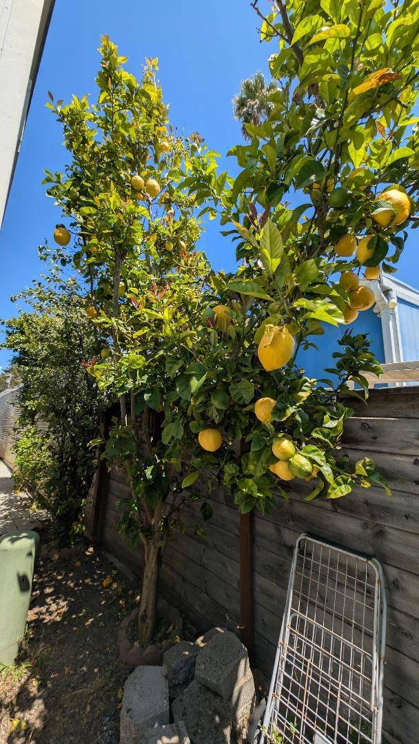 Capitola, CA 95010,930 Rosedale AVE