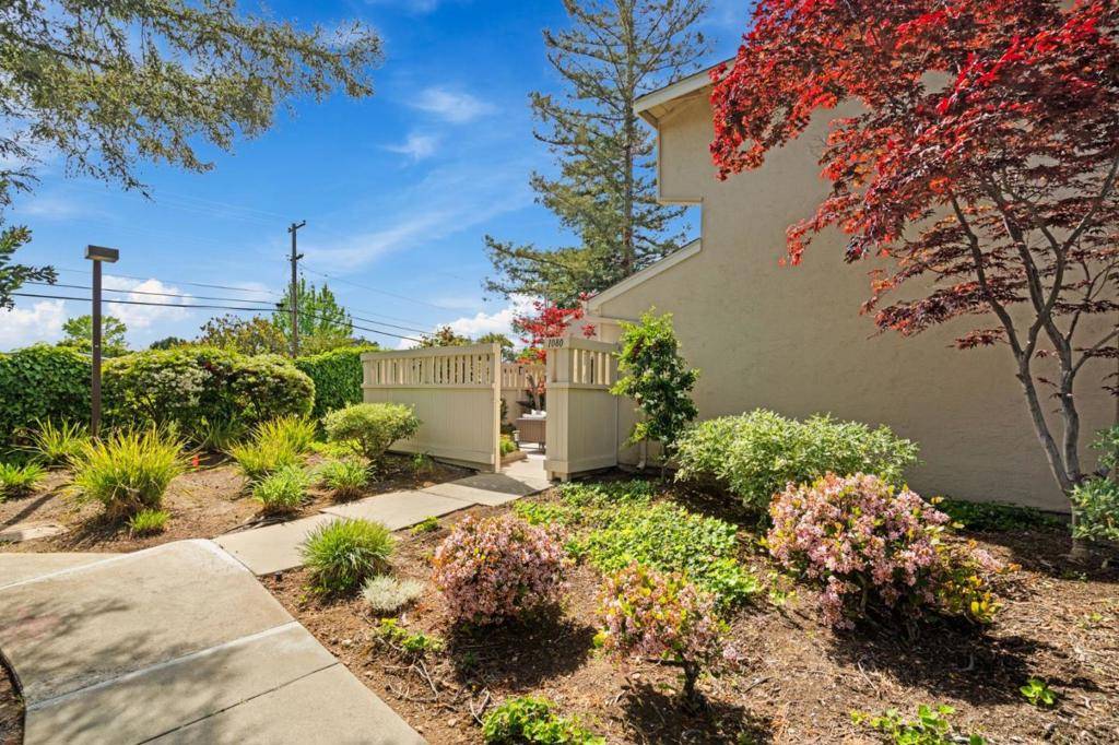 Sunnyvale, CA 94087,1080 Michelangelo DR