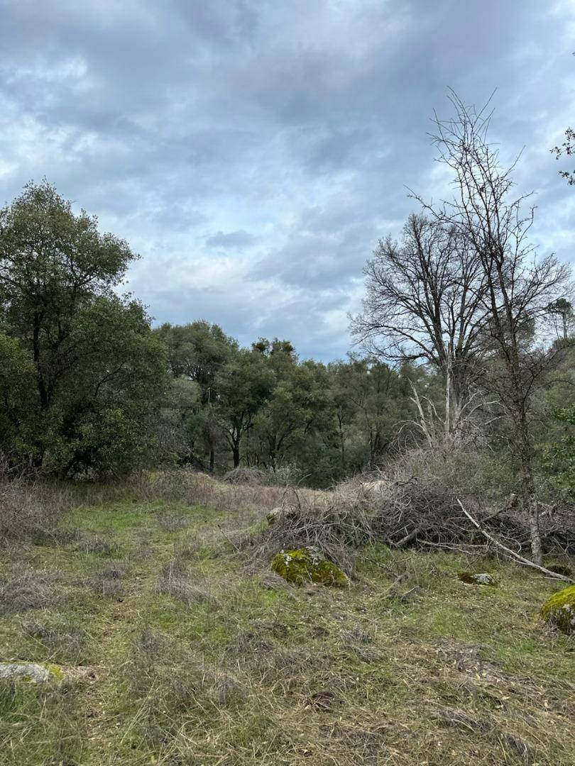 Mariposa, CA 95338,4822 Indian Peaks RD