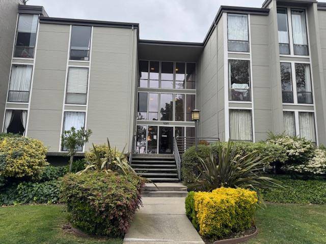 Foster City, CA 94404,1051 Beach Park BLVD #303