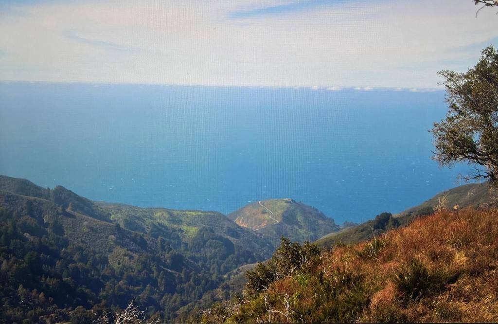 Carmel, CA 93923,37855 Palo Colorado RD