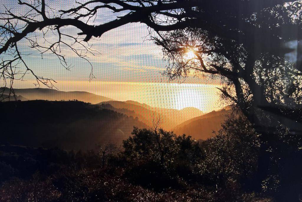 Carmel, CA 93923,37855 Palo Colorado RD
