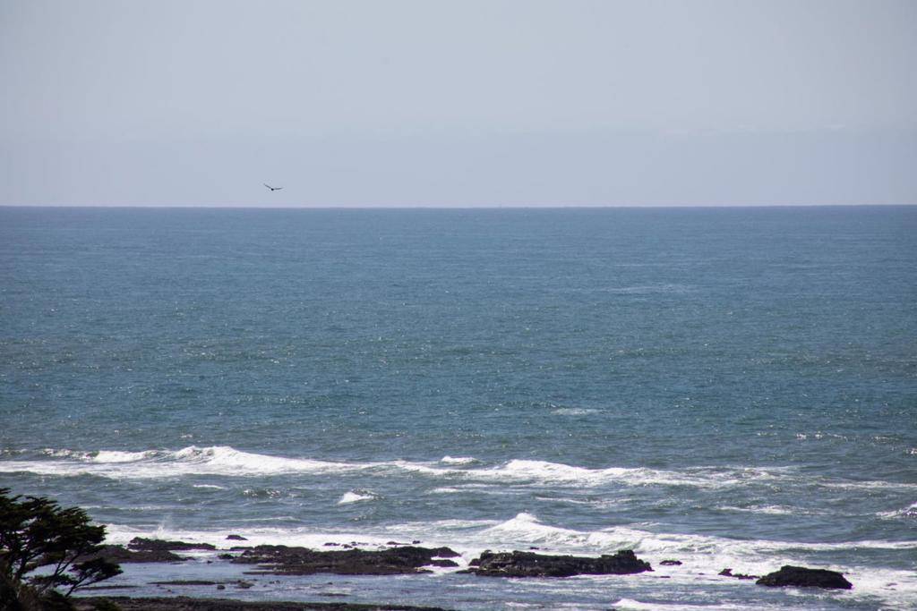 Moss Beach, CA 94038,530 Stetson ST