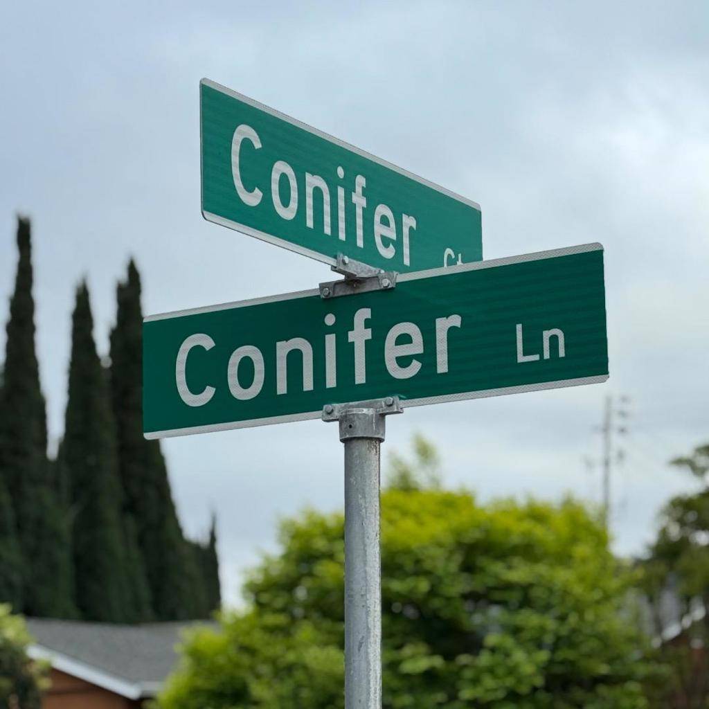 San Jose, CA 95132,1927 Conifer LN