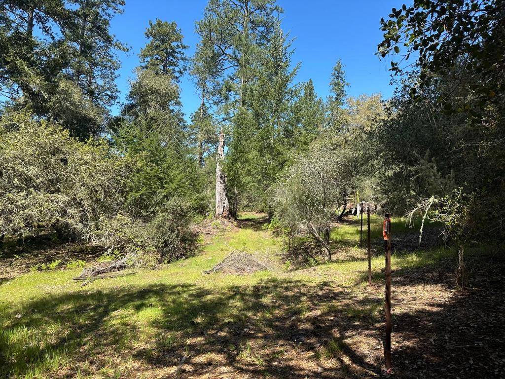 Scotts Valley, CA 95066,0 Hidden Glen DR