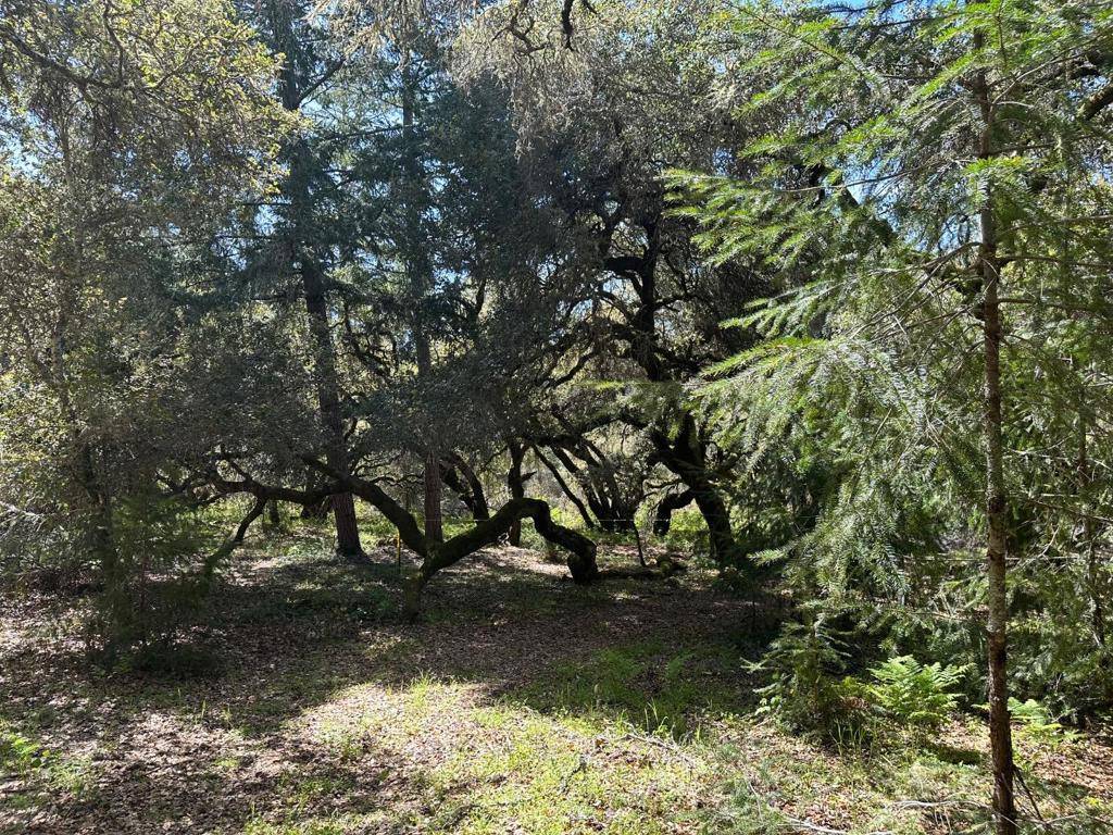 Scotts Valley, CA 95066,0 Hidden Glen DR