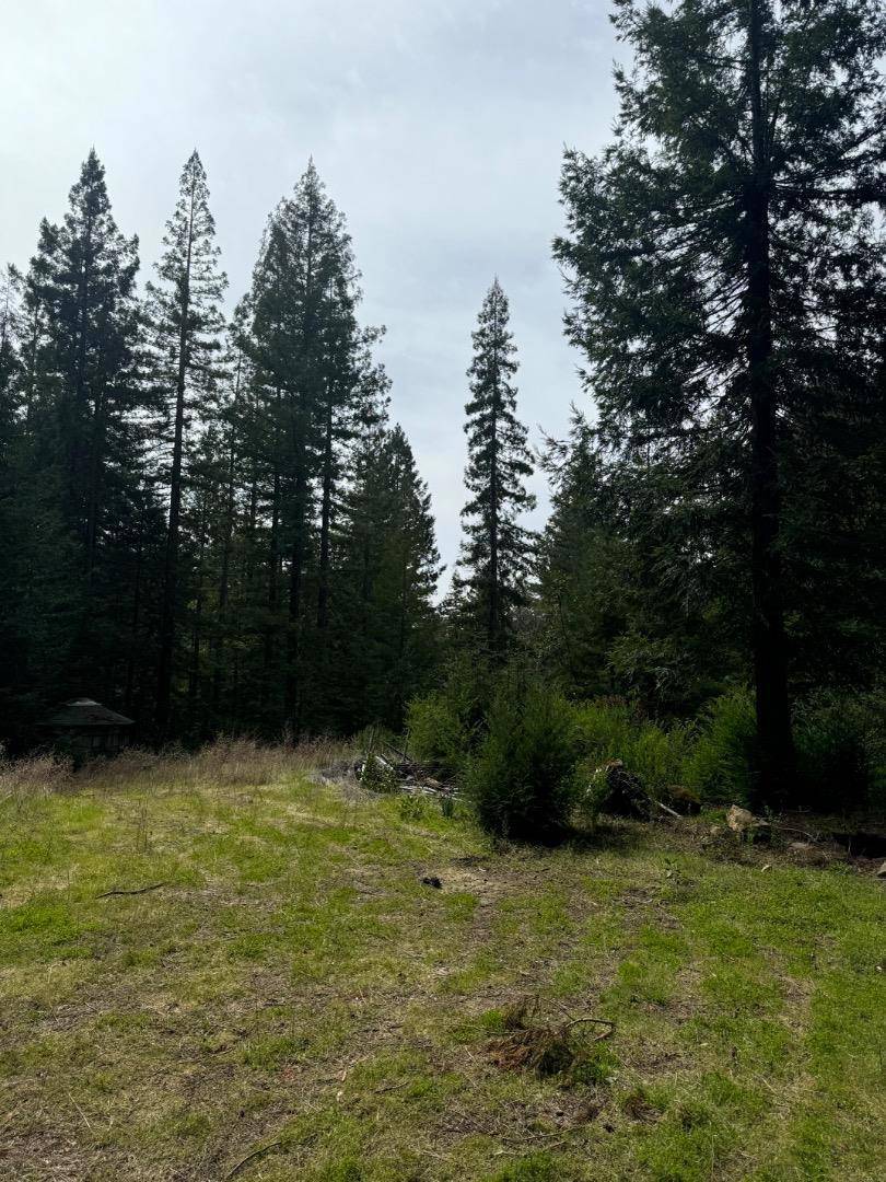 Boulder Creek, CA 95006,Address not disclosed
