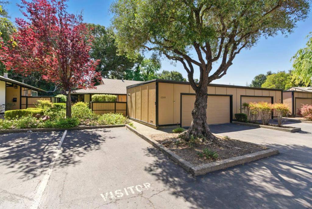 Sunnyvale, CA 94087,1209 Blackberry TER