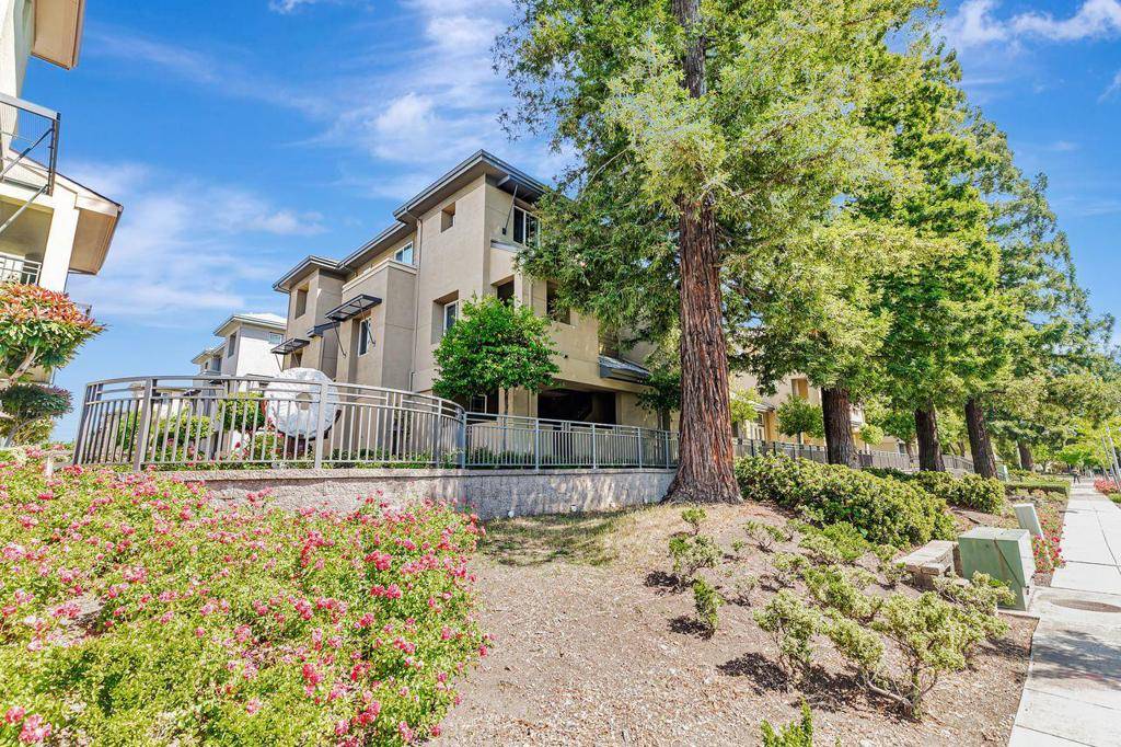 Palo Alto, CA 94303,1113 Trinity LN