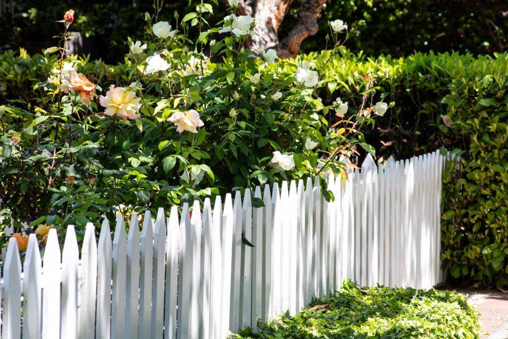 Palo Alto, CA 94301,453 N California AVE