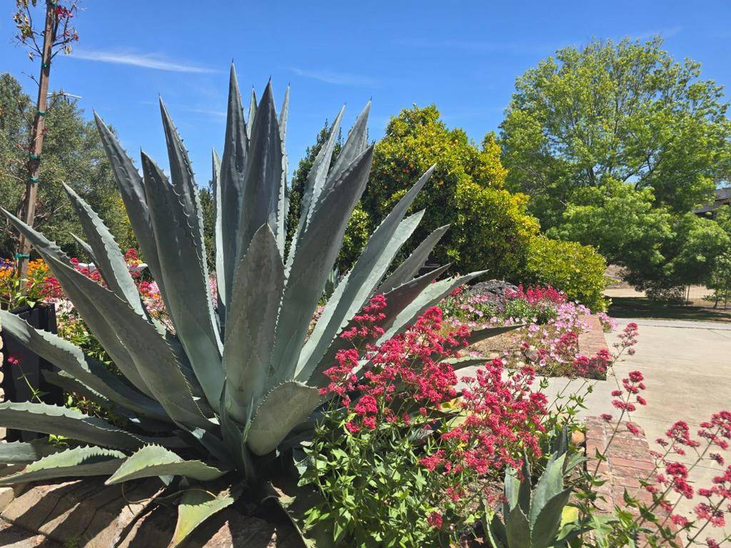 Salinas, CA 93908,2 MESA DEL SOL