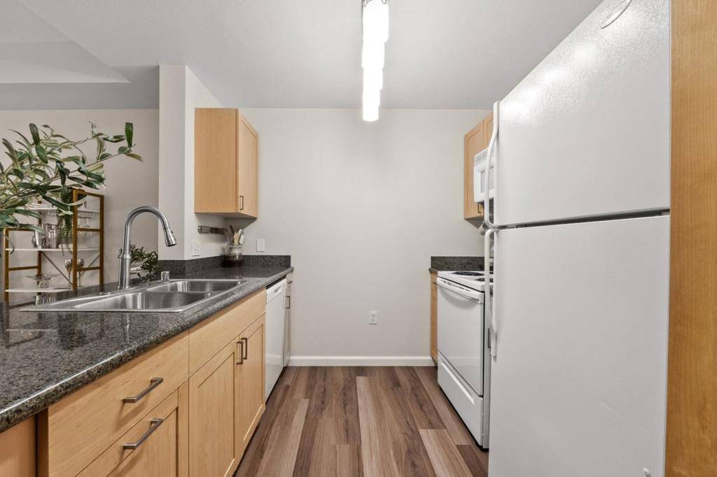 San Jose, CA 95110,1550 Technology DR #2106