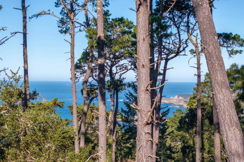 Carmel, CA 93923,90 Crest Road