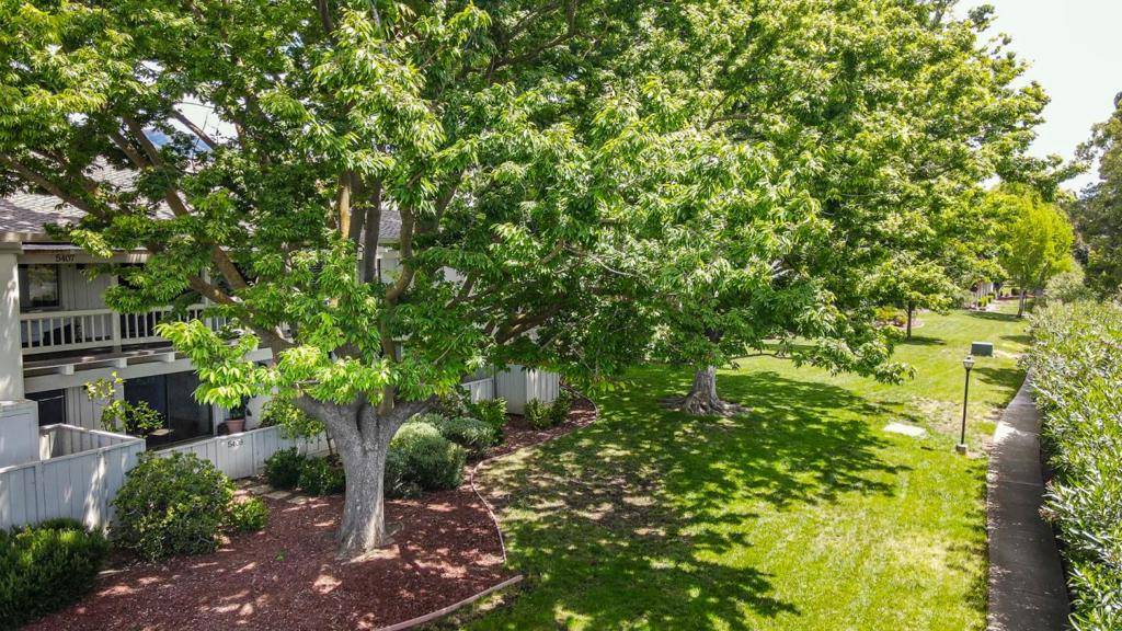 San Jose, CA 95135,5408 Cribari CT