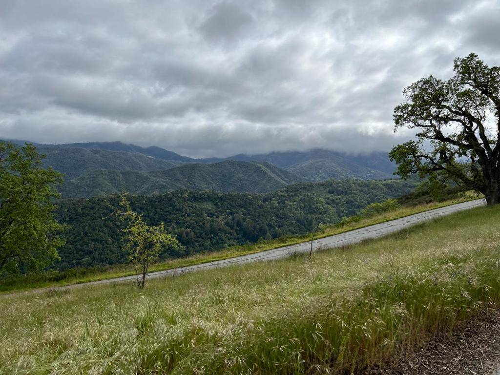 Carmel Valley, CA 93923,13 Long Ridge TRL