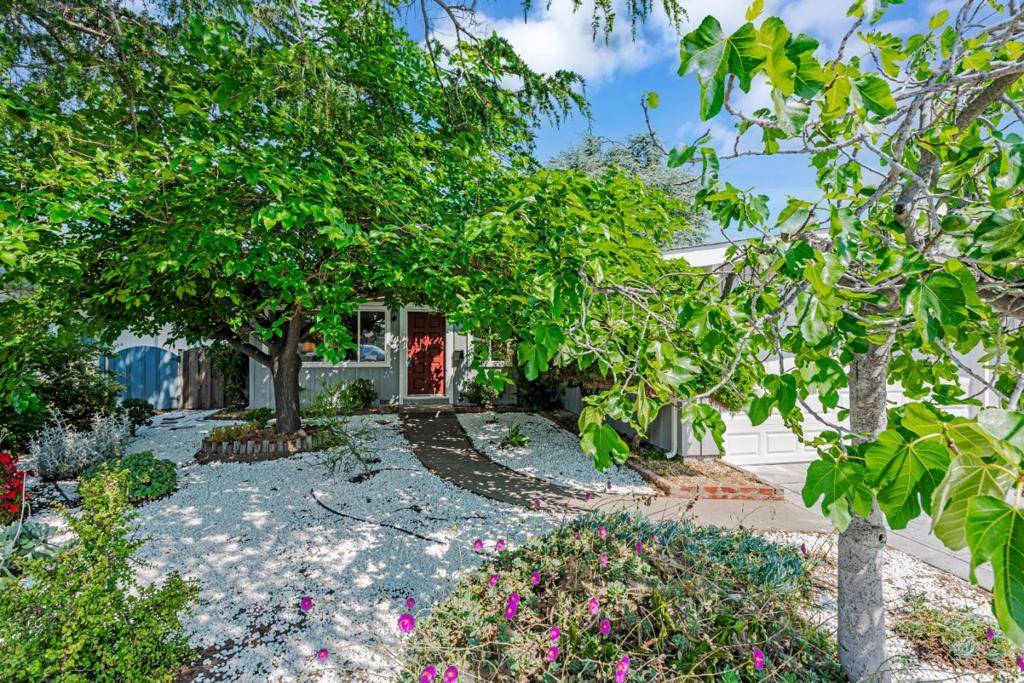 San Jose, CA 95127,3375 Holly DR
