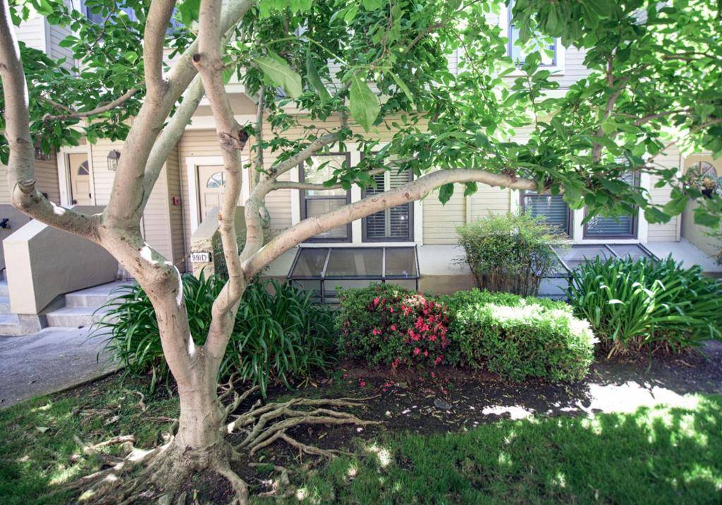 Sunnyvale, CA 94086,991 La Mesa TER #D