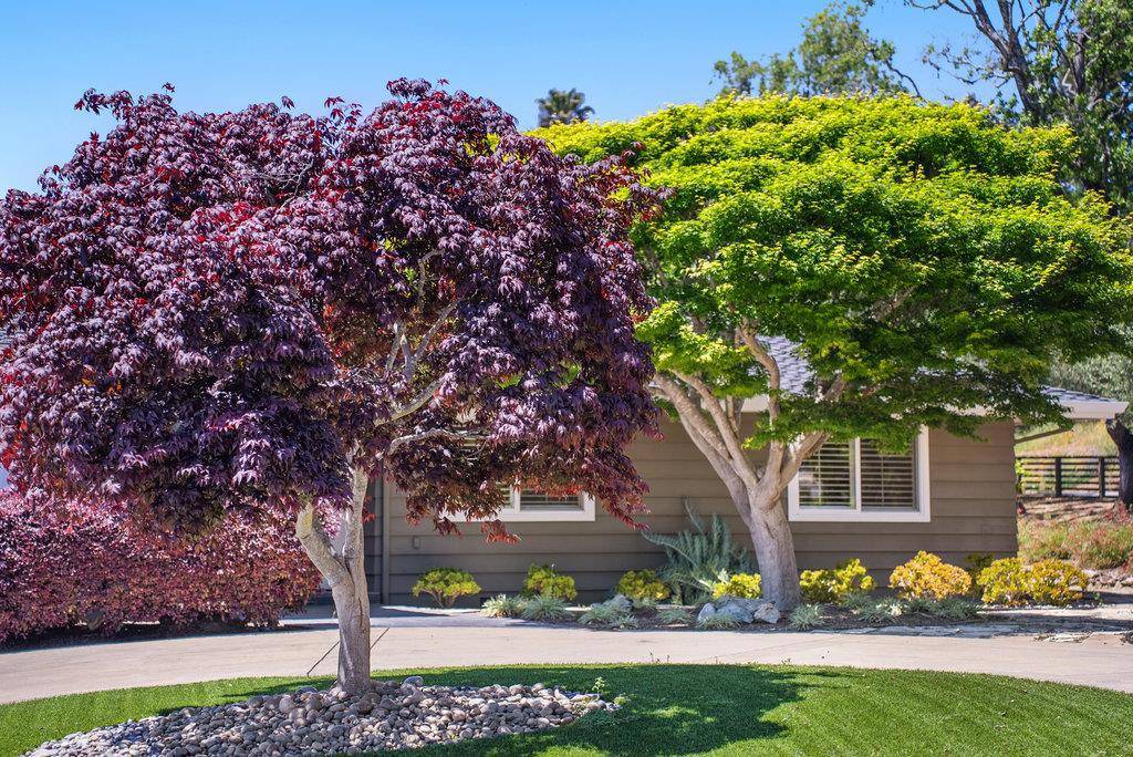 Aptos, CA 95003,290 Saint Andrews DR