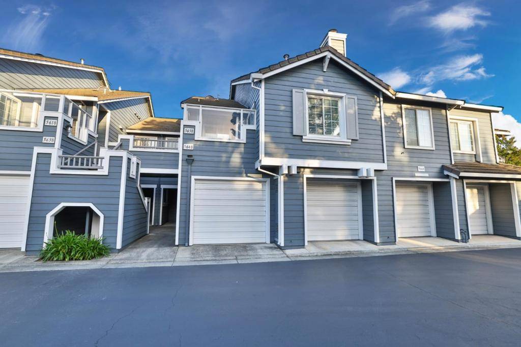 Fremont, CA 94538,5658 Statice