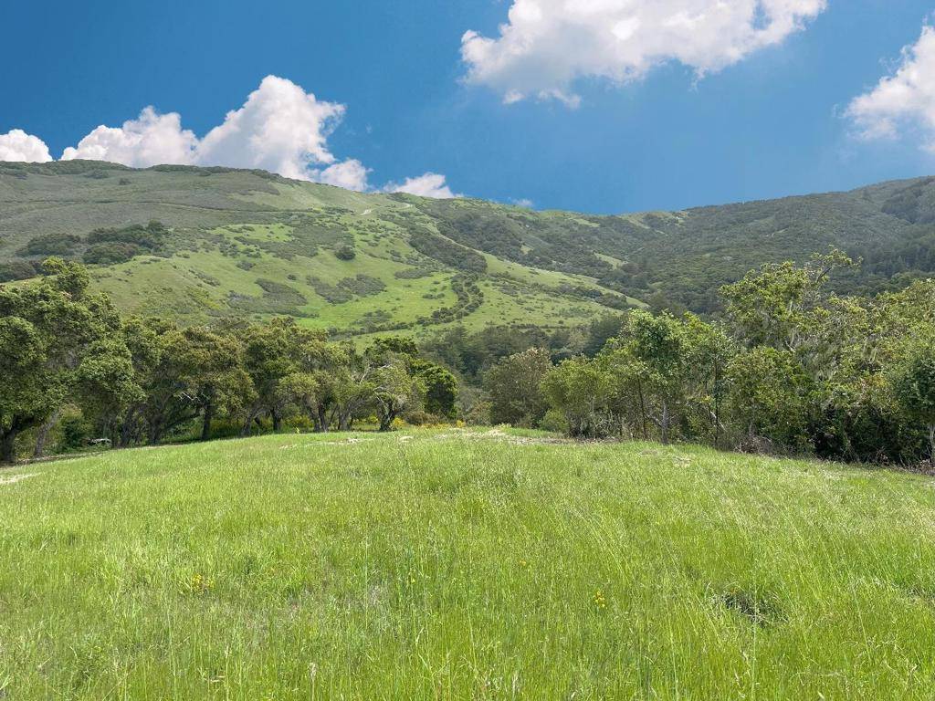 Carmel, CA 93923,29 Potrero TRL