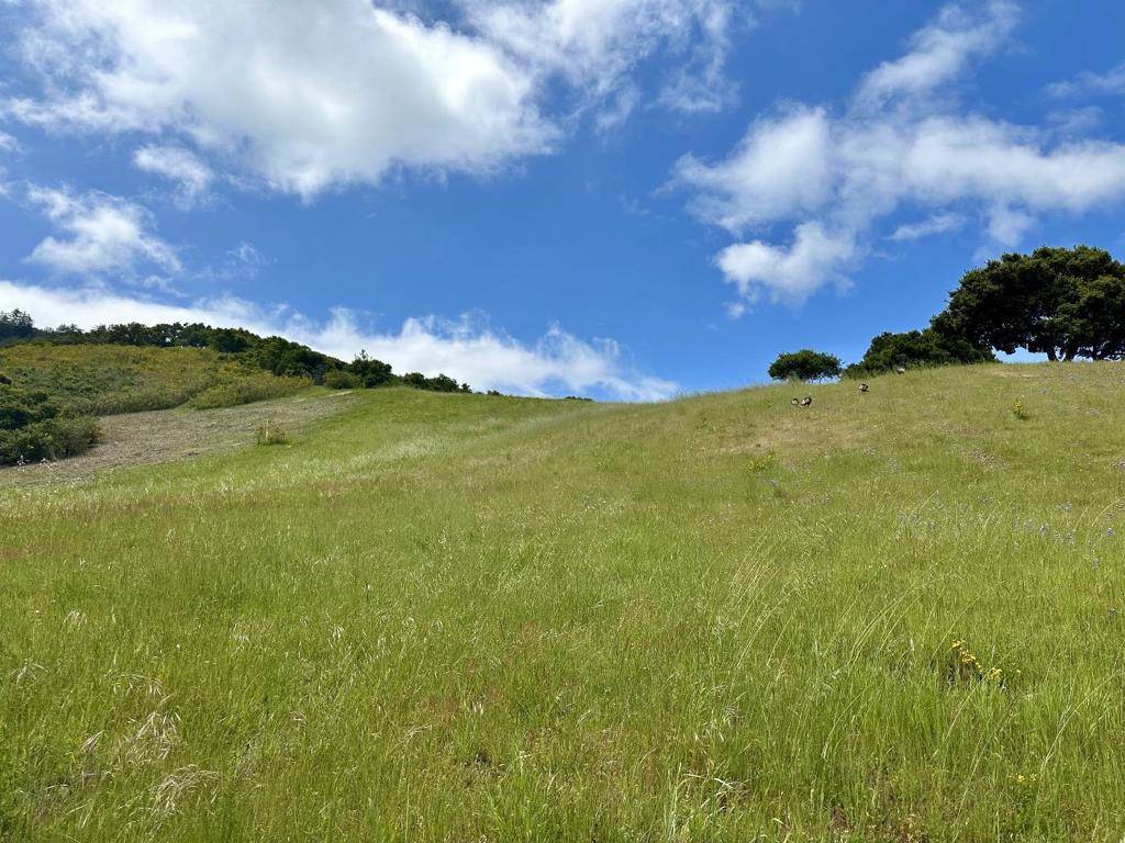 Carmel, CA 93923,29 Potrero TRL