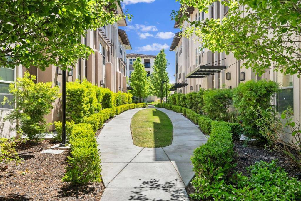 San Jose, CA 95131,996 Cassia PL
