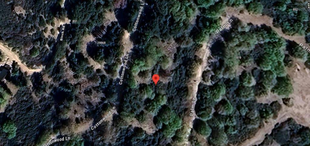 Cedar Glen, CA 92321,29865 Hickory DR