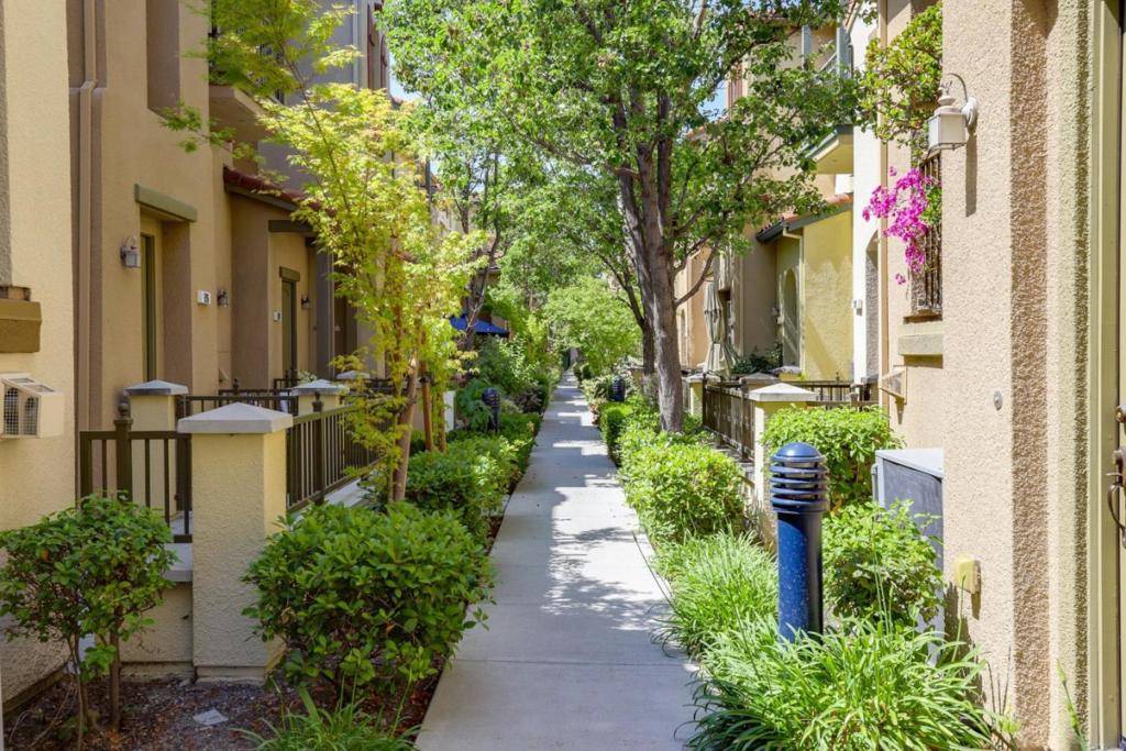 Milpitas, CA 95035,878 Luz Del Sol LOOP