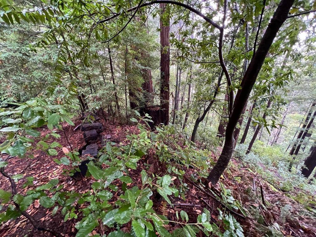 Scotts Valley, CA 95066,0 Deer Trail WAY
