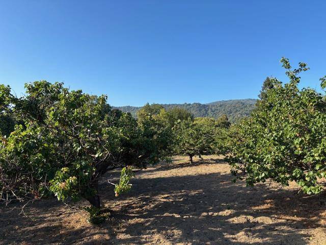 Los Altos Hills, CA 94022,25900 Vinedo LN