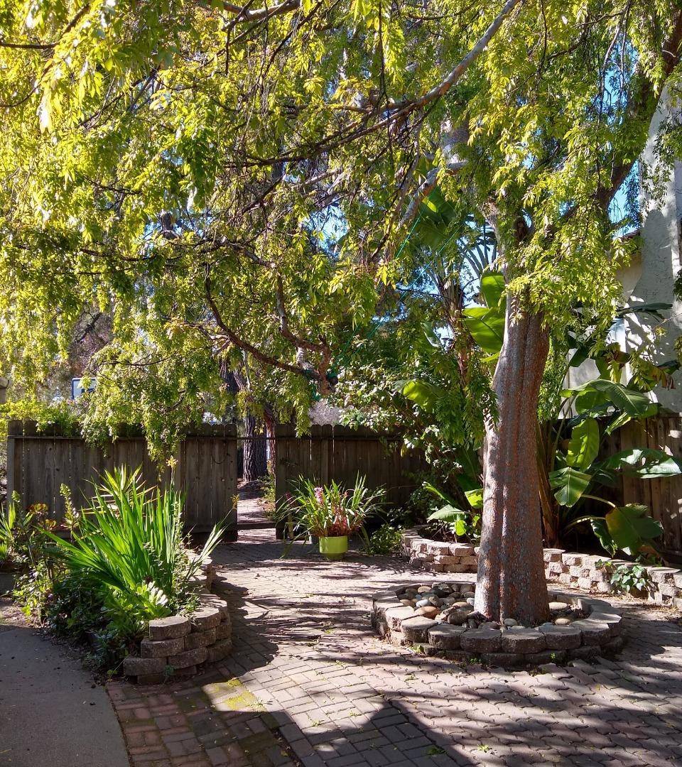 Cupertino, CA 95014,21851 Almaden AVE