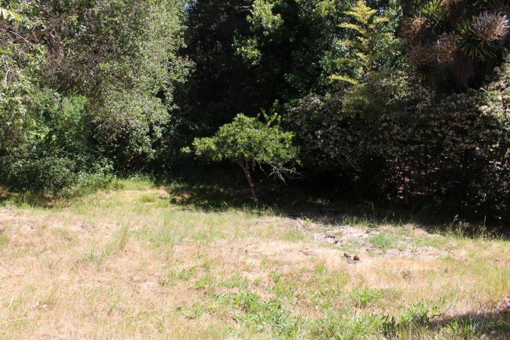 Seacliff, CA 95003,930 Pine Tree LN