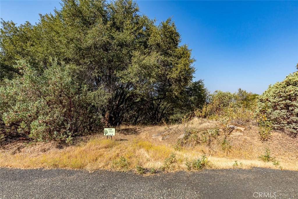 Mariposa, CA 95338,0 Vista Lago Ln. Lot #15