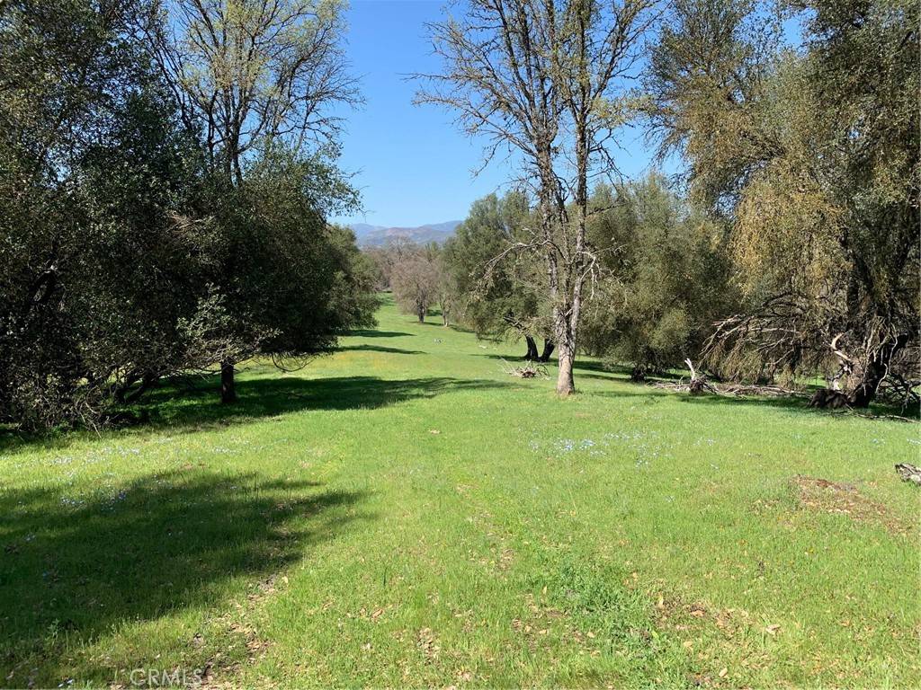 Mariposa, CA 95338,160 Acres Digger Pine DR