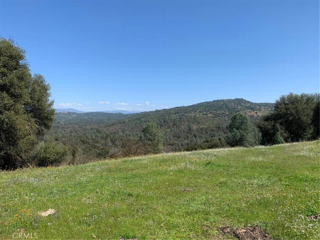 Mariposa, CA 95338,160 Acres Digger Pine DR