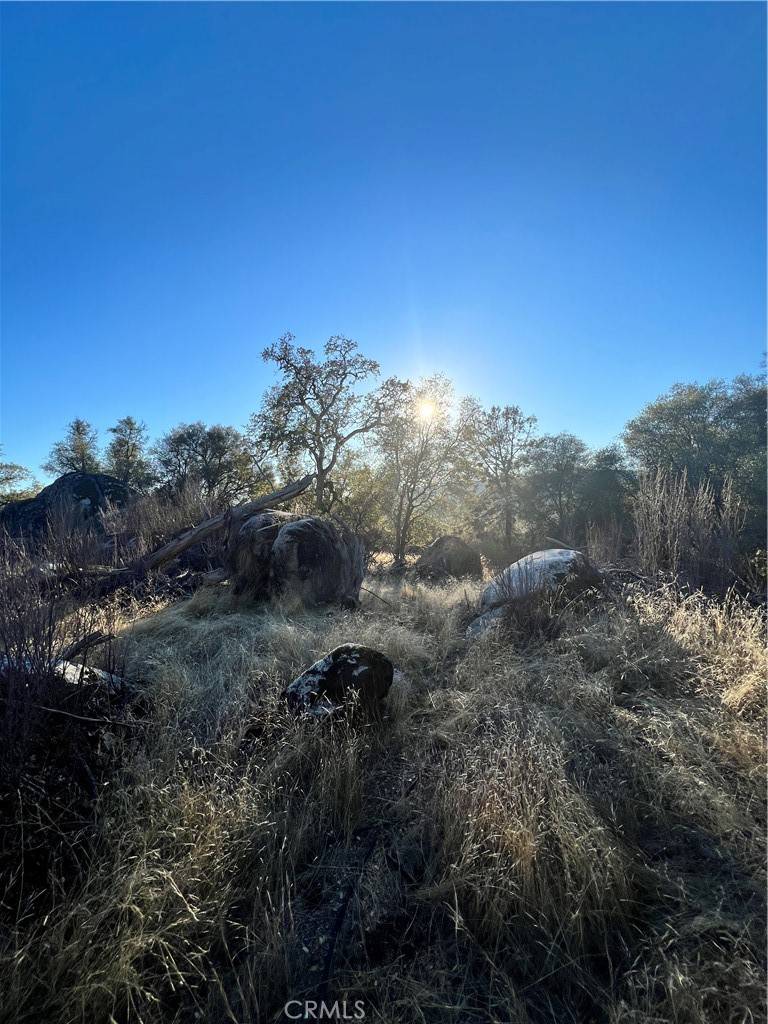 Mariposa, CA 95338,4248 Burl Dr.