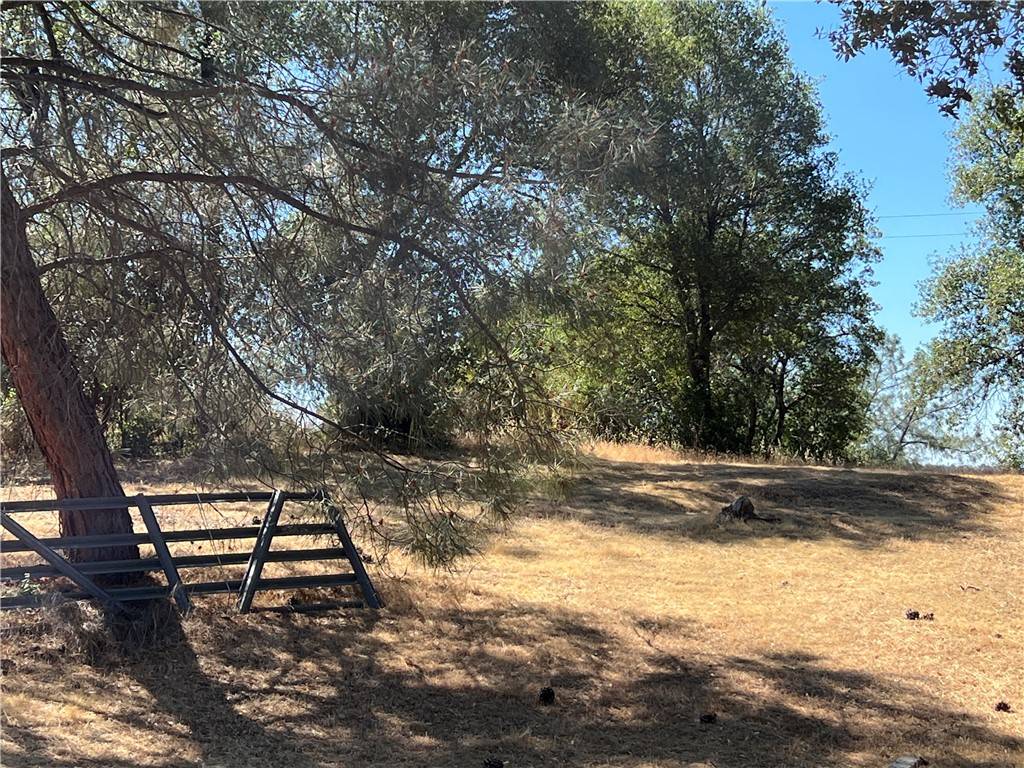 Mariposa, CA 95338,5444 Darrah RD