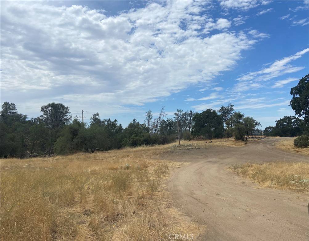 Coarsegold, CA 93614,0 Hogans Mountain RD