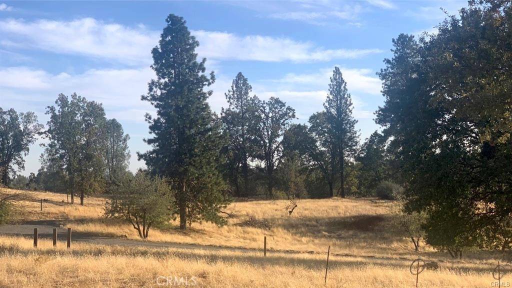 Mariposa, CA 95338,5644 Sierra Meadows LN