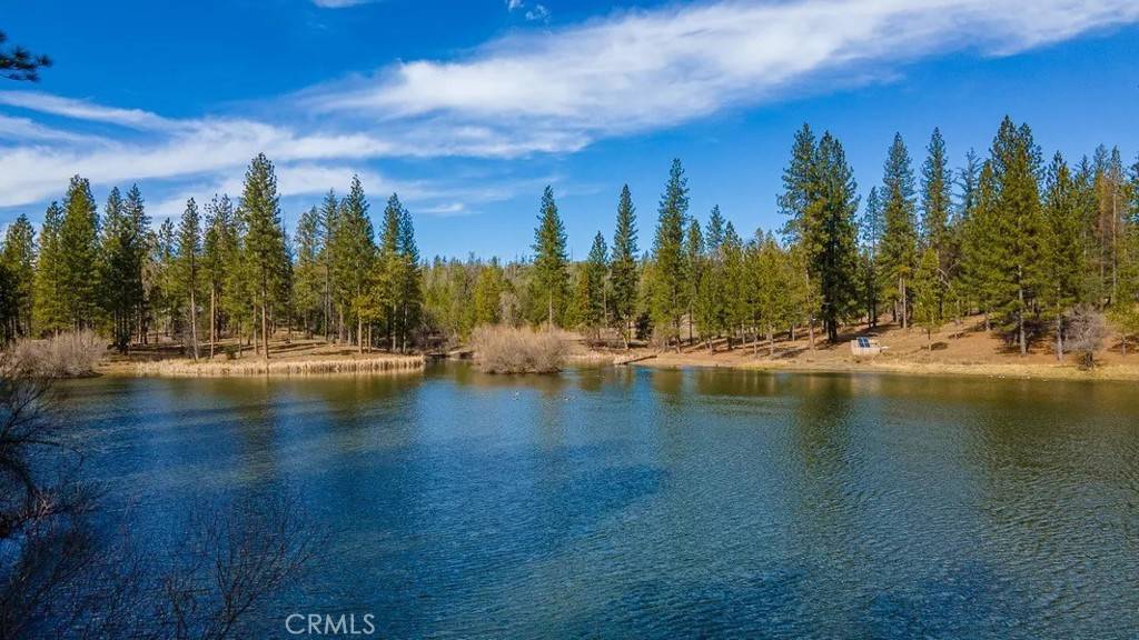 Coulterville, CA 95311,9850 Ernst RD