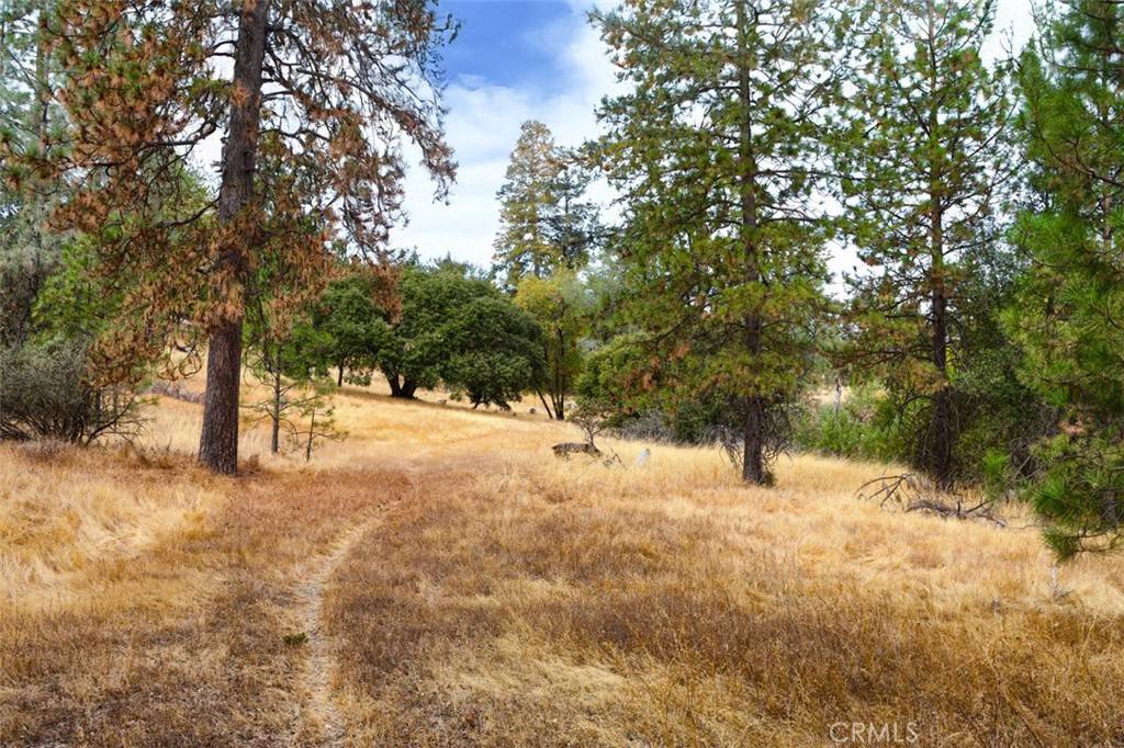 Mariposa, CA 95338,4959 Sierra Pines DR