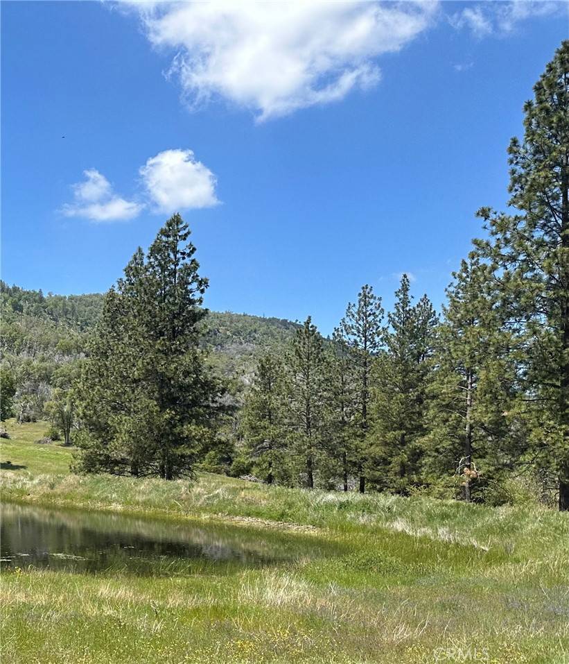 Mariposa, CA 95338,6071 Cya RD
