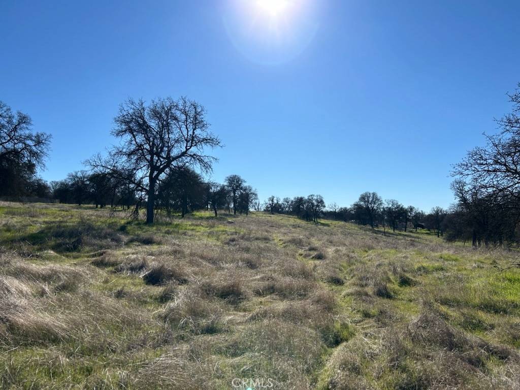 Catheys Valley, CA 95306,5 Acres - El Toro RD
