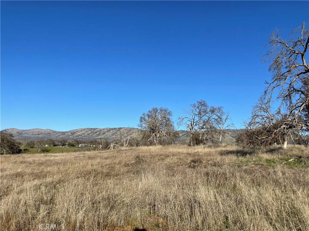 Catheys Valley, CA 95306,5 Tinkers Penny LN
